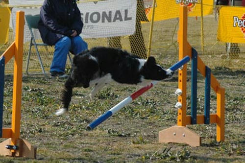 DSC_1906_m.jpg