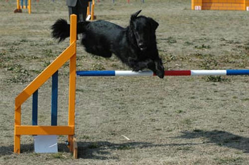 DSC_1920_m.jpg