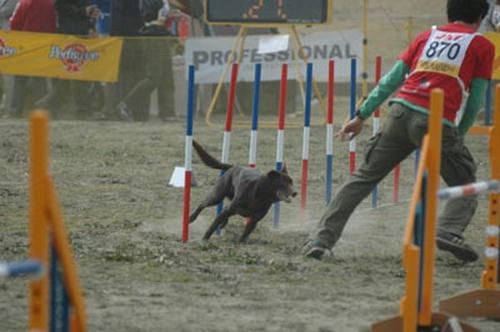 DSC_1923_m.jpg