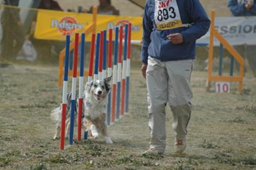 DSC_1931_m.jpg