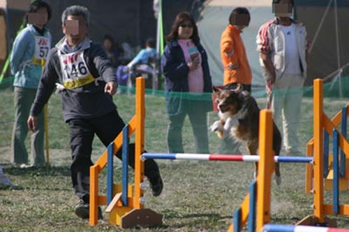 IMG_1995_m.jpg