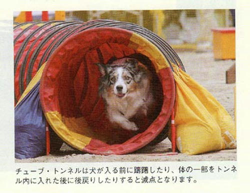 img001_1.jpg