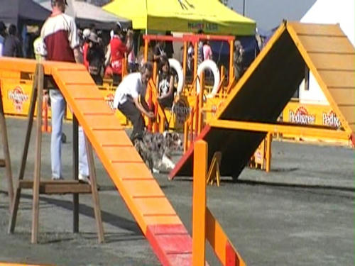 MOV042_0001.jpg