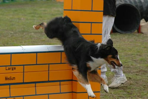 DSC_3218_1.jpg
