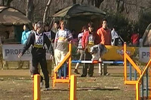 20090221ag3.jpg