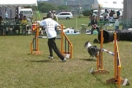 20090510s.jpg