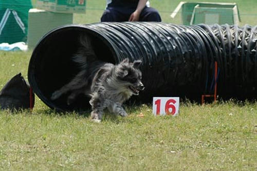 DSC_3793_384.jpg
