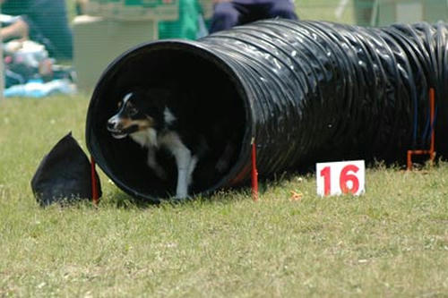DSC_3864_456.jpg