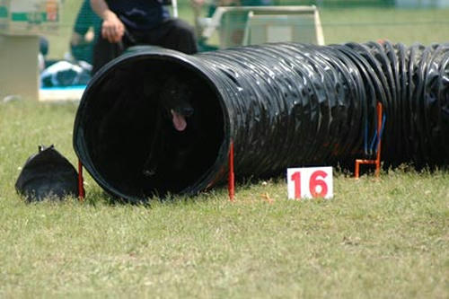 DSC_3889_491.jpg