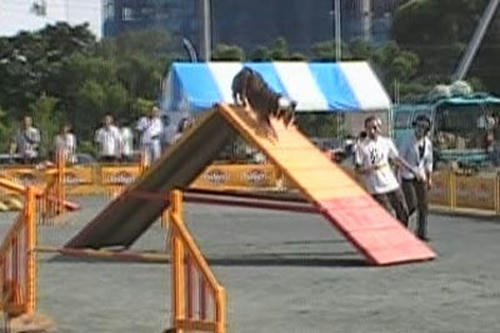 20090607_ag.jpg