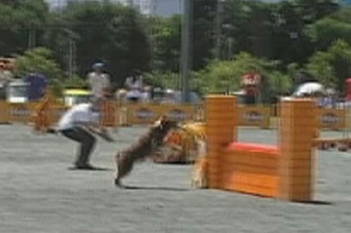 20090607_jp.jpg