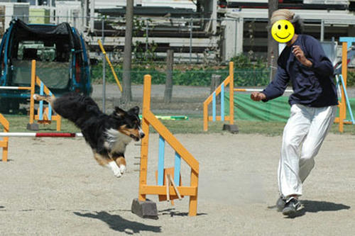 DSC_4589_2.jpg