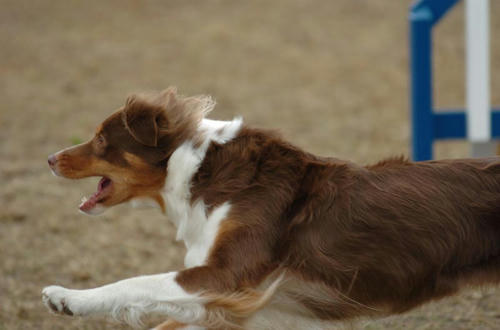20090921_50.jpg