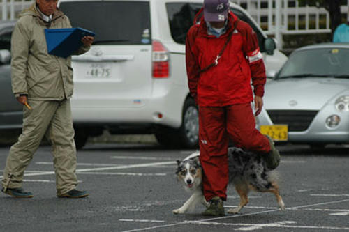 DSC_5277_1.jpg