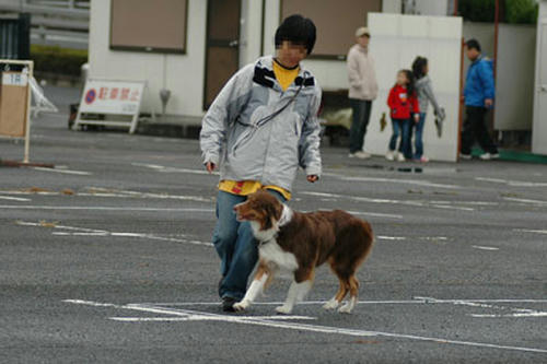 DSC_5324_1.jpg