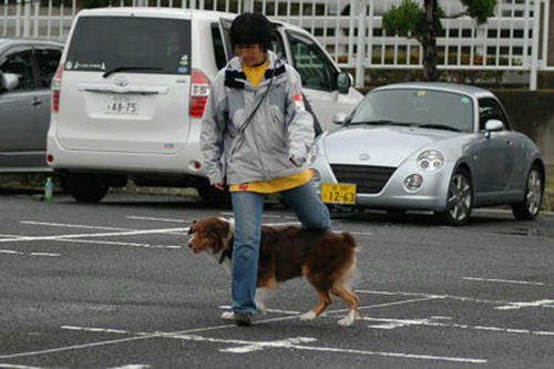 DSC_5333_1.jpg