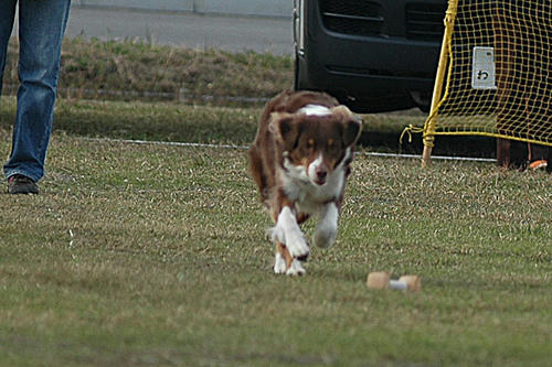 DSC_5425_1.jpg