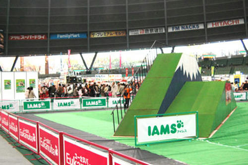 DSC_5436_1.jpg