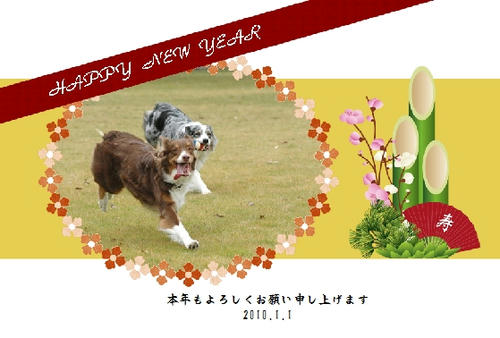 2010_01n.jpg