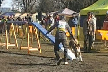 MOV0BB-01.jpg