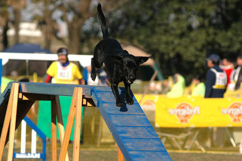 DSC_6075_1.jpg