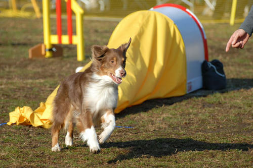 DSC_6770_1.jpg
