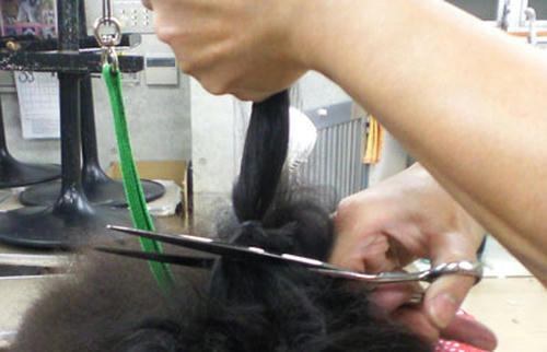 SBCA0101_1.jpg