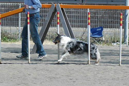 DSC_6406_s.jpg