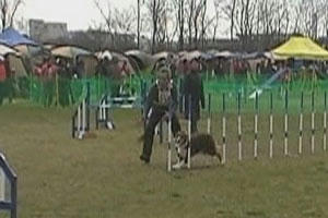 20100327jp2.jpg