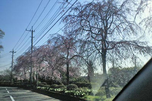 SBCA0312_1.jpg