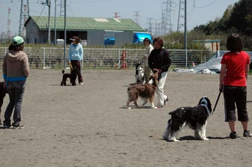 DSC_6642_8.jpg