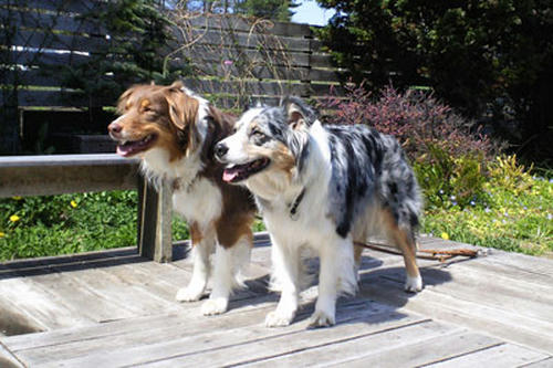 2010050304.jpg