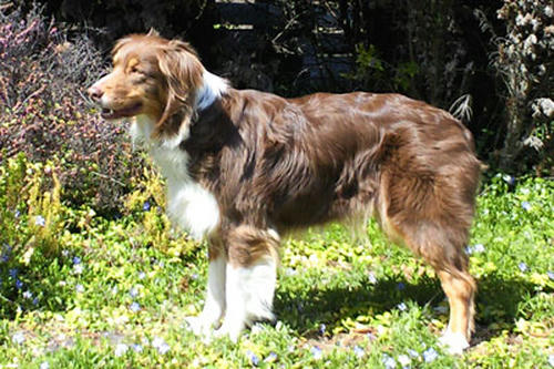 2010050305.jpg