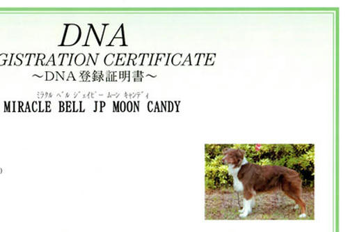DNAcandy043.jpg