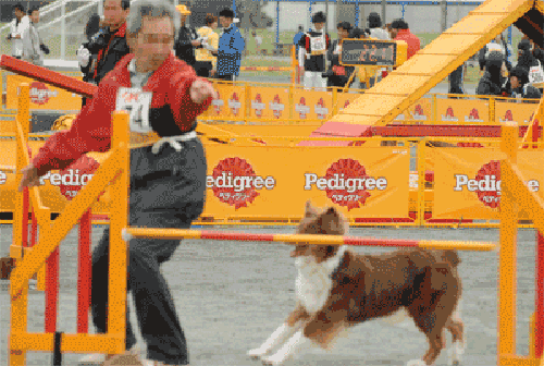 20100530JP2_1.gif