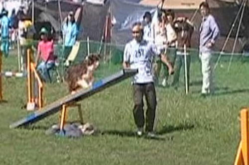 20100626_ag.jpg