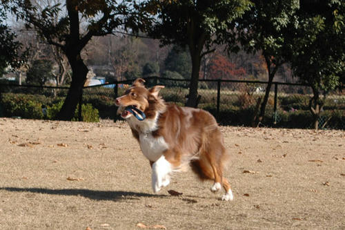 DSC_8265_1.jpg