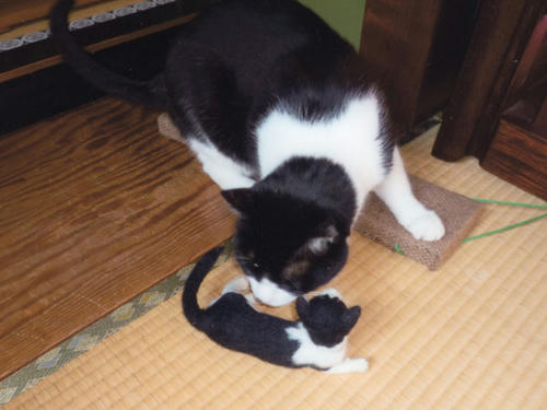 20101223_m02.jpg
