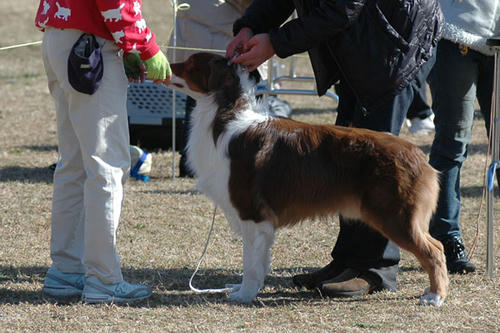 DSC_8474_1.jpg