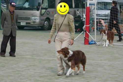 DSC_8622_c.jpg