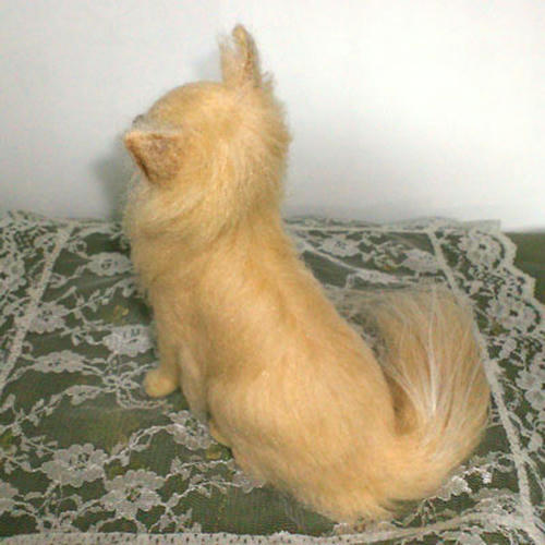 SBCA0719.jpg