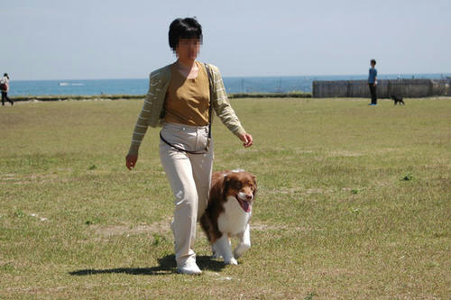 DSC_8909_1.jpg