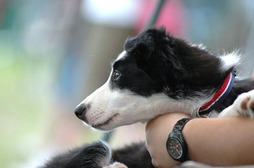DSC_9116_1.jpg