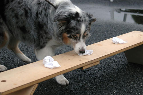 DSC_7_3.jpg