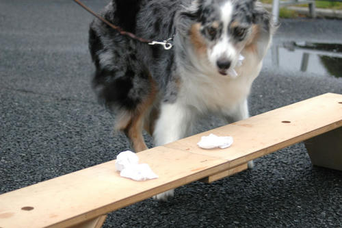 DSC_10_3.jpg
