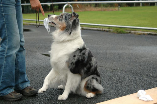 DSC_11_3.jpg