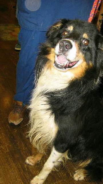 2011083107250000.jpg