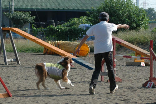 DSC_0080_1.jpg