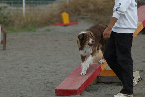 DSC_1086_1.jpg