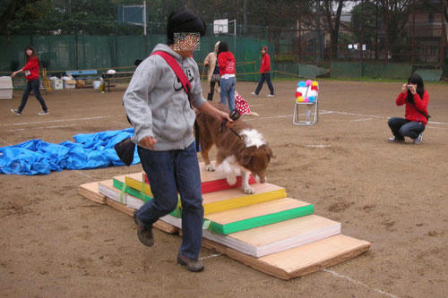 DSCN5257_1.jpg